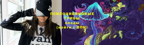 твердый Белокуриха