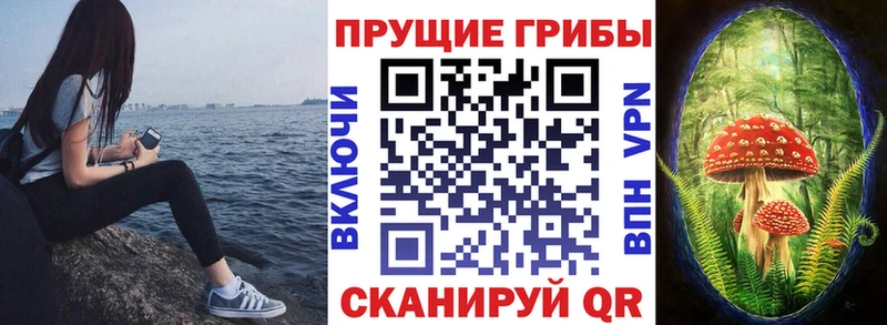Псилоцибиновые грибы Psilocybine cubensis где продают ОМГ ОМГ зеркало Каспийск