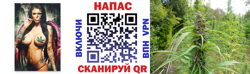 МАРИХУАНА гибрид  Каспийск 